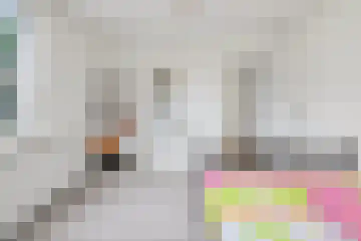Hogeweg 58 Losser thumbnail 32