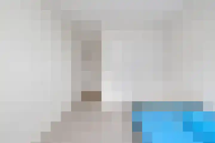 Hogeweg 58 Losser thumbnail 35