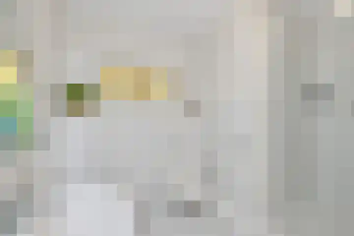 Hogeweg 58 Losser thumbnail 36
