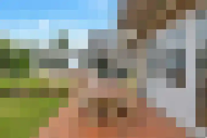 Hogeweg 58 Losser thumbnail 44