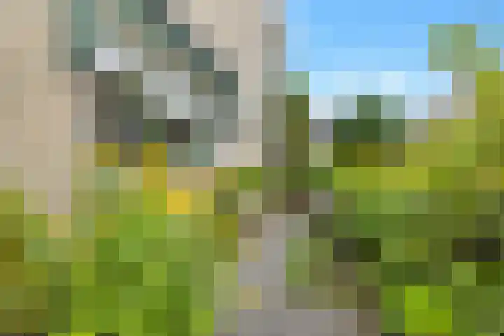Hogeweg 58 Losser thumbnail 45