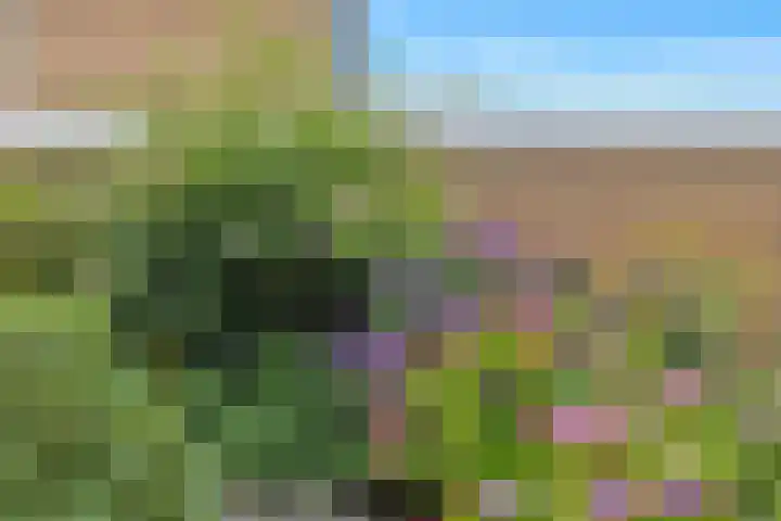 Hogeweg 58 Losser thumbnail 46