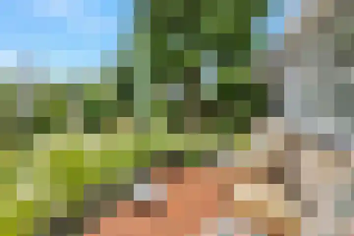 Hogeweg 58 Losser thumbnail 47