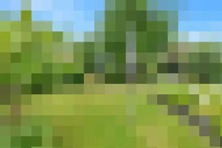 Hogeweg 58 Losser thumbnail 48