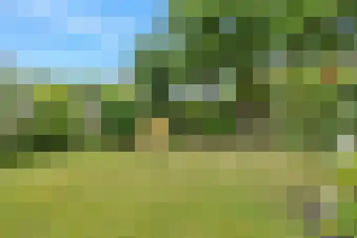 Hogeweg 58 Losser thumbnail 49