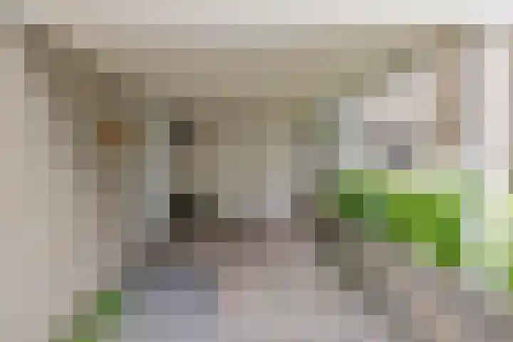 Hogeweg 58 Losser thumbnail 5