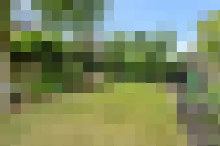 Hogeweg 58 Losser thumbnail 50