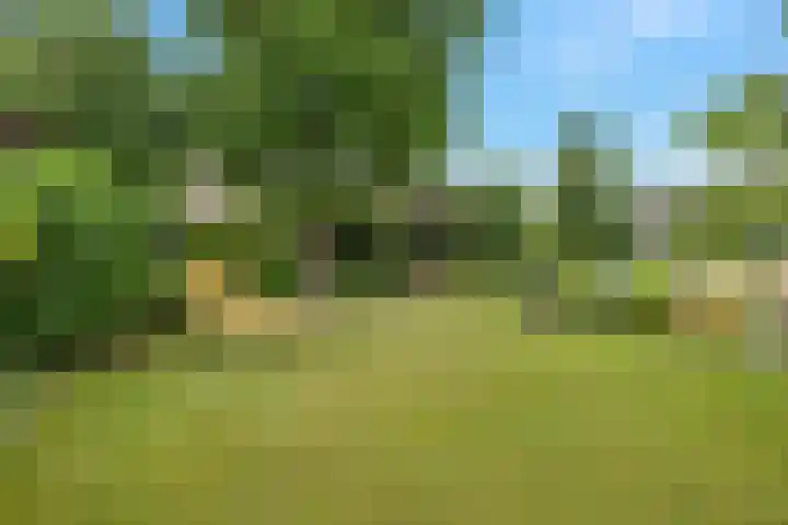 Hogeweg 58 Losser thumbnail 51