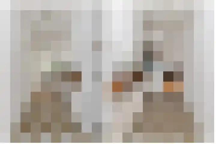 Hogeweg 58 Losser thumbnail 6