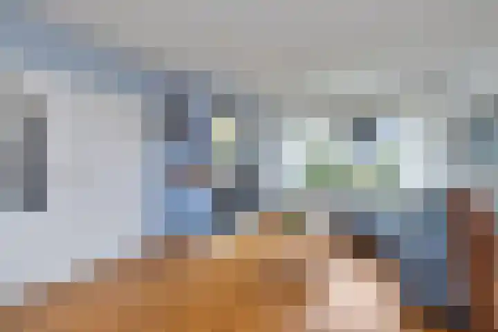 Hogeweg 58 Losser thumbnail 8