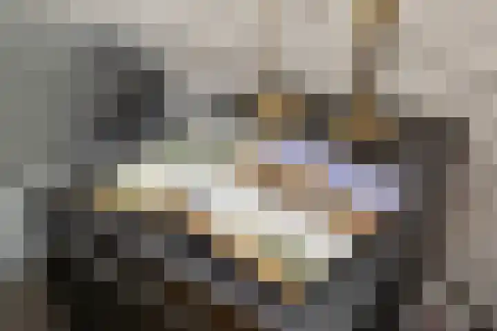 Hogeweg 58 Losser thumbnail 9