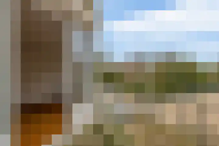 Hogeweg 59 Venlo thumbnail 7