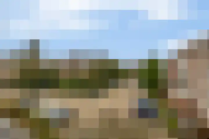 Hogeweg 59 Venlo thumbnail 8