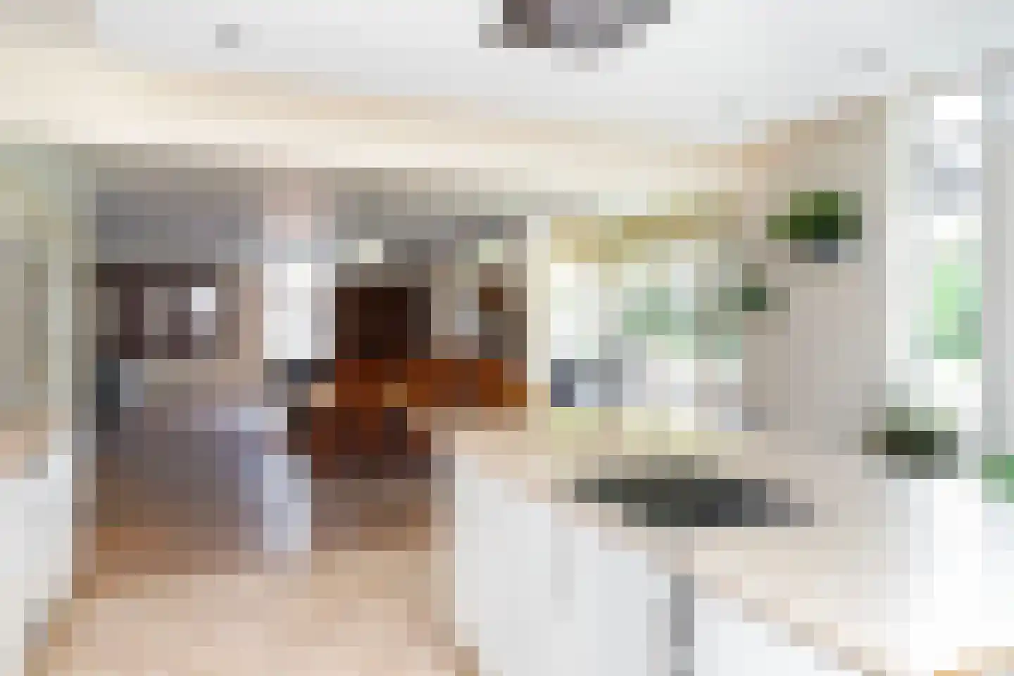Hogeweg 6 B Eerbeek thumbnail 20