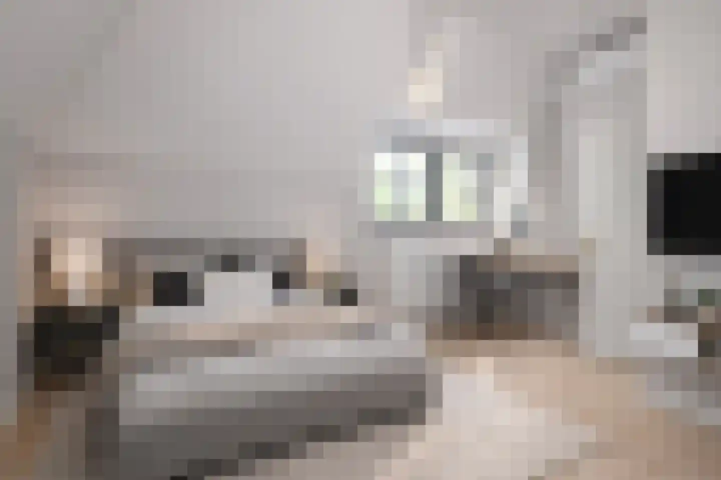 Hogeweg 6 B Eerbeek thumbnail 38