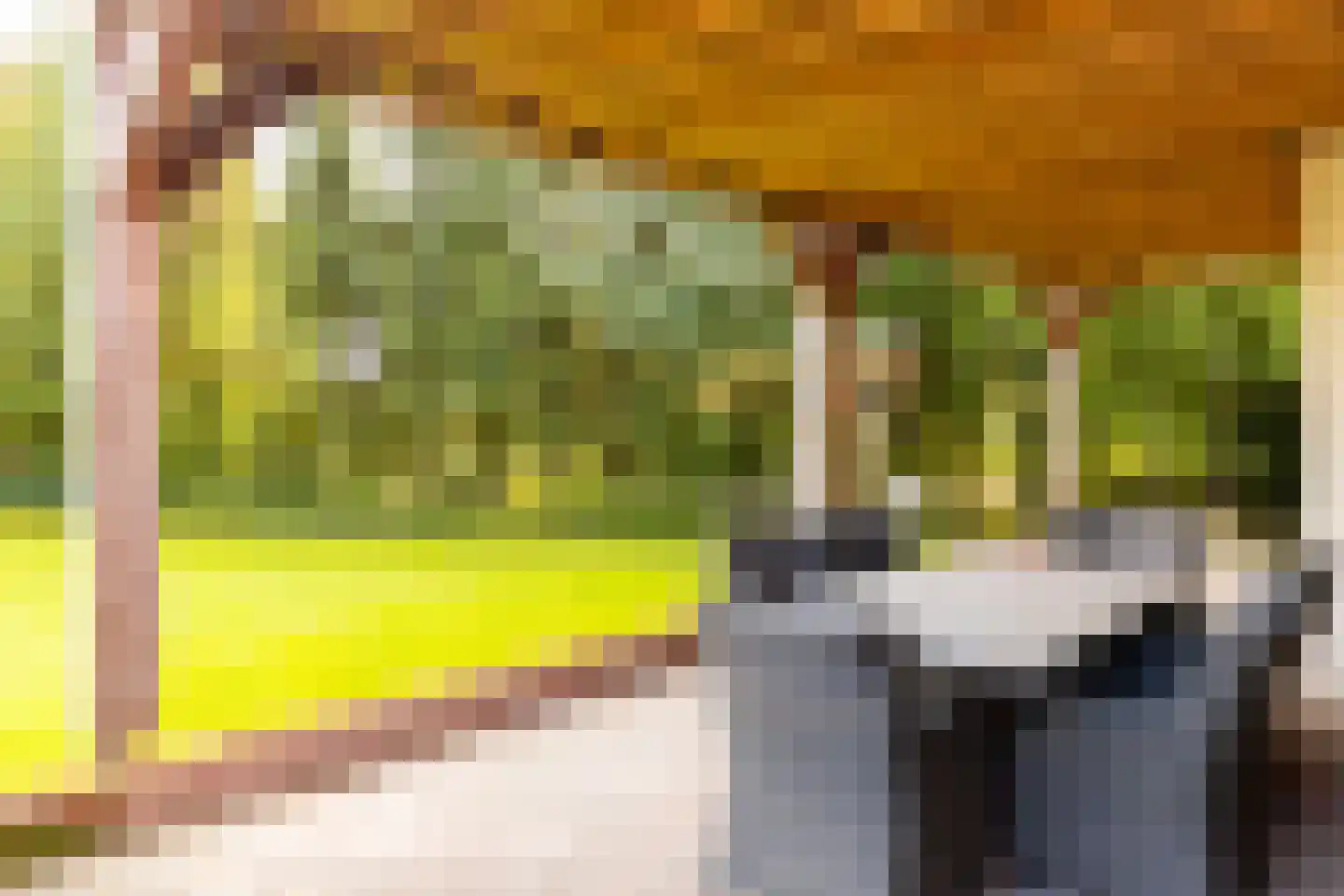 Hogeweg 6 B Eerbeek thumbnail 41