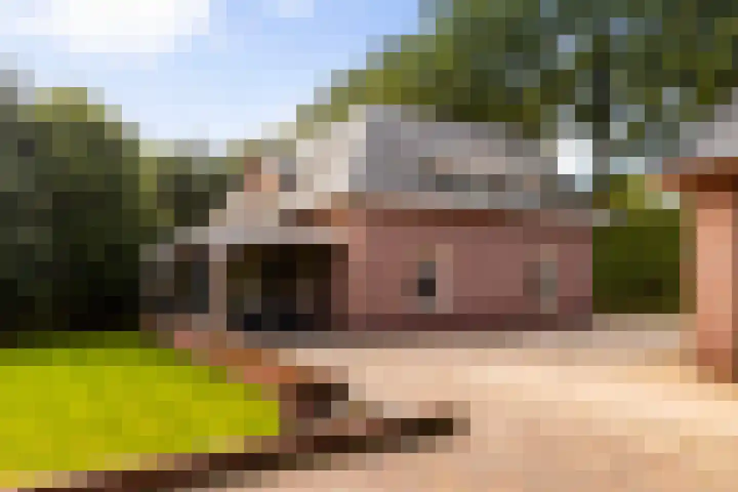 Hogeweg 6 B Eerbeek thumbnail 42