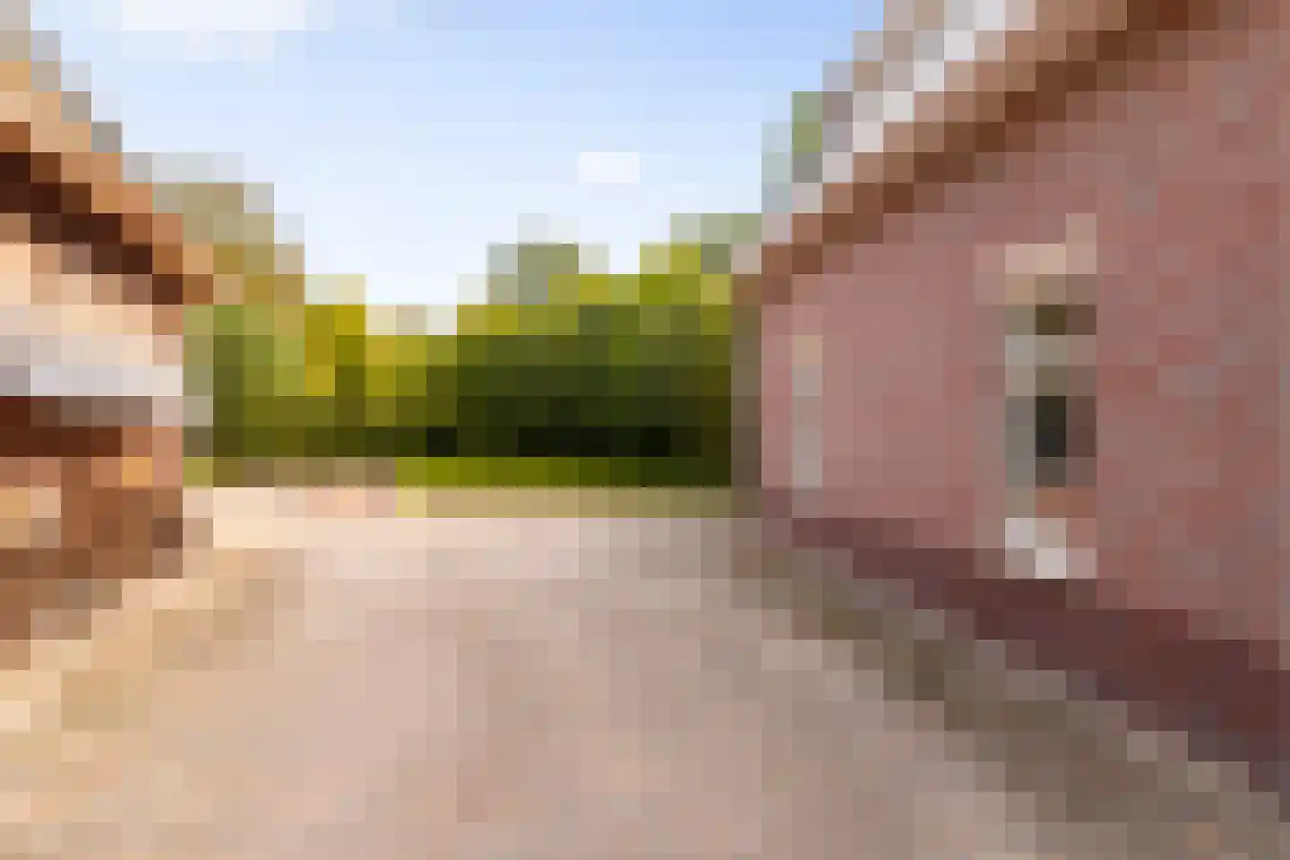 Hogeweg 6 B Eerbeek thumbnail 44