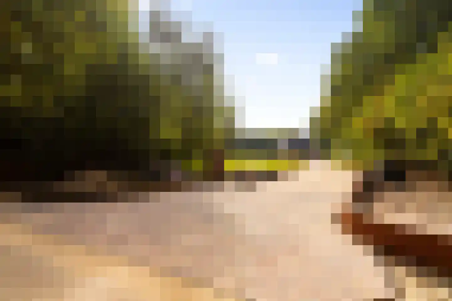 Hogeweg 6 B Eerbeek thumbnail 56