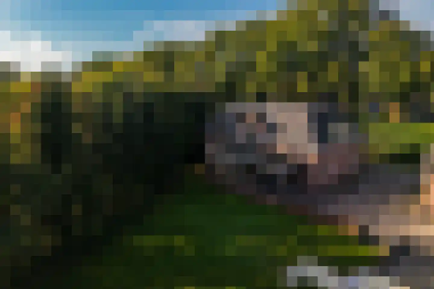Hogeweg 6 B Eerbeek thumbnail 58
