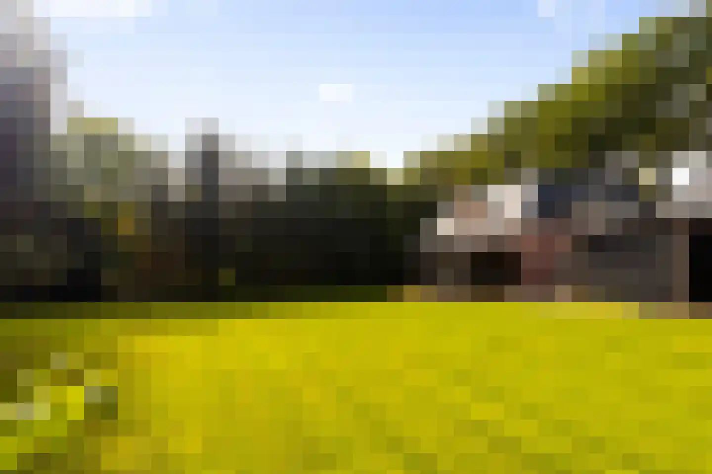 Hogeweg 6 B Eerbeek thumbnail 59