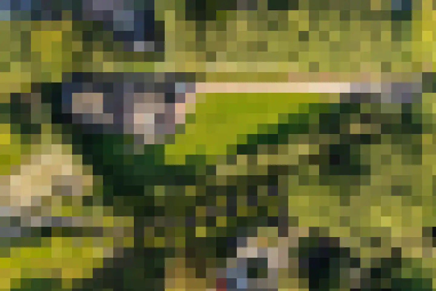 Hogeweg 6 B Eerbeek thumbnail 60