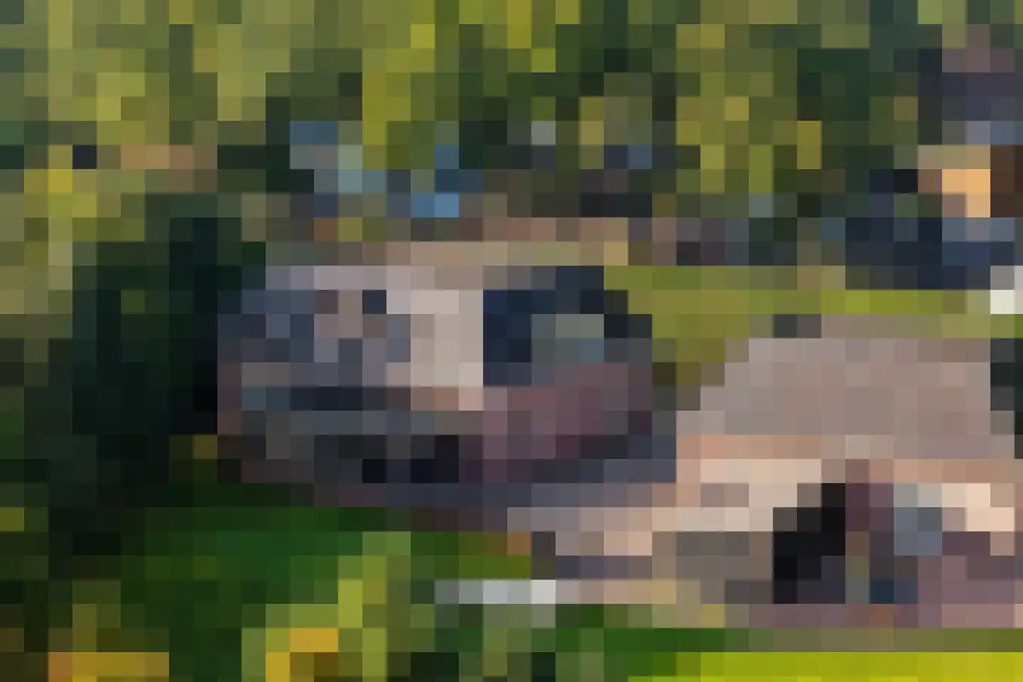 Hogeweg 6 B Eerbeek thumbnail 61