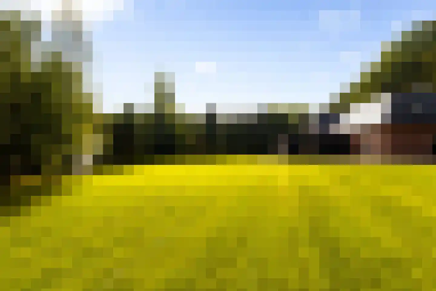 Hogeweg 6 B Eerbeek thumbnail 62