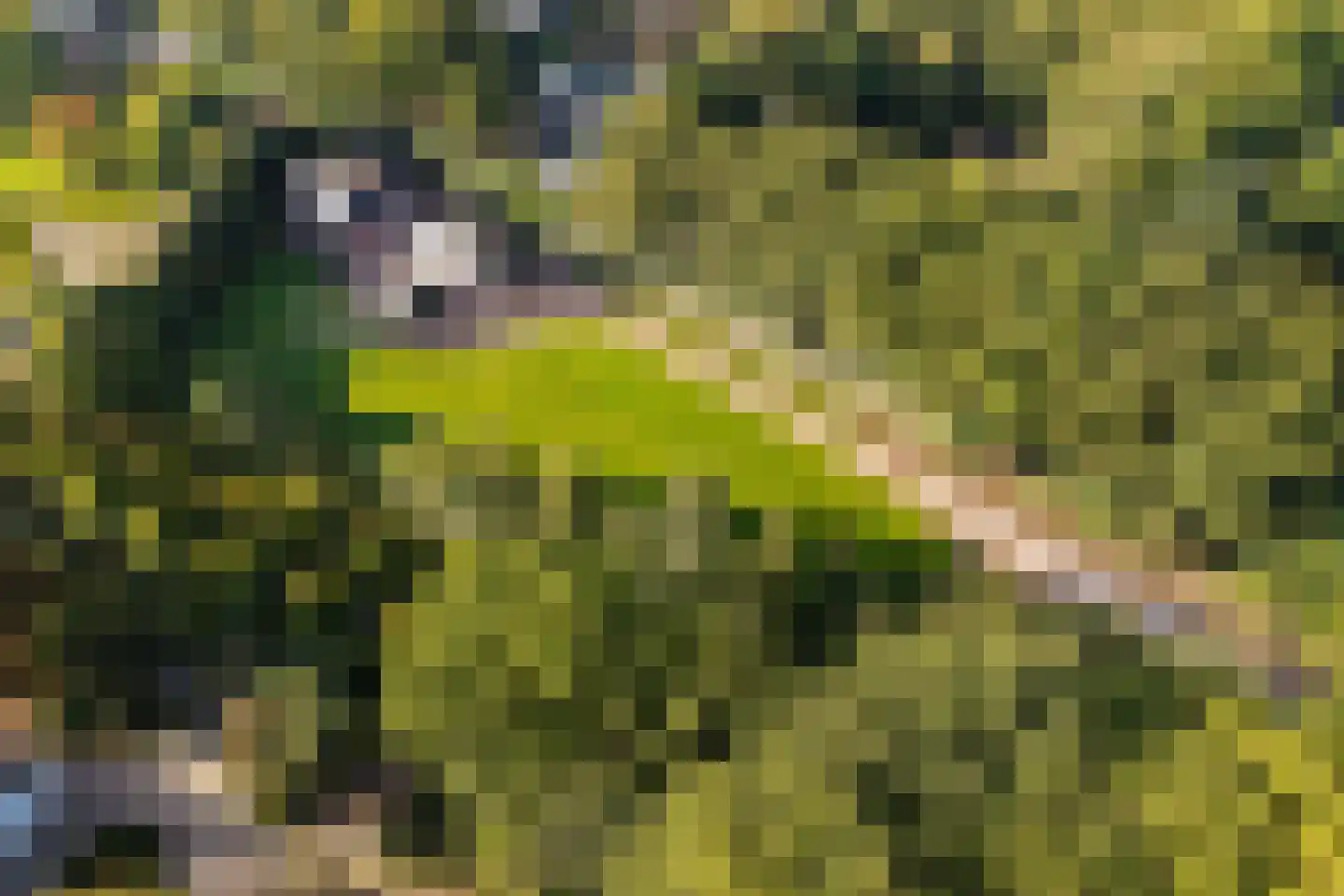 Hogeweg 6 B Eerbeek thumbnail 63