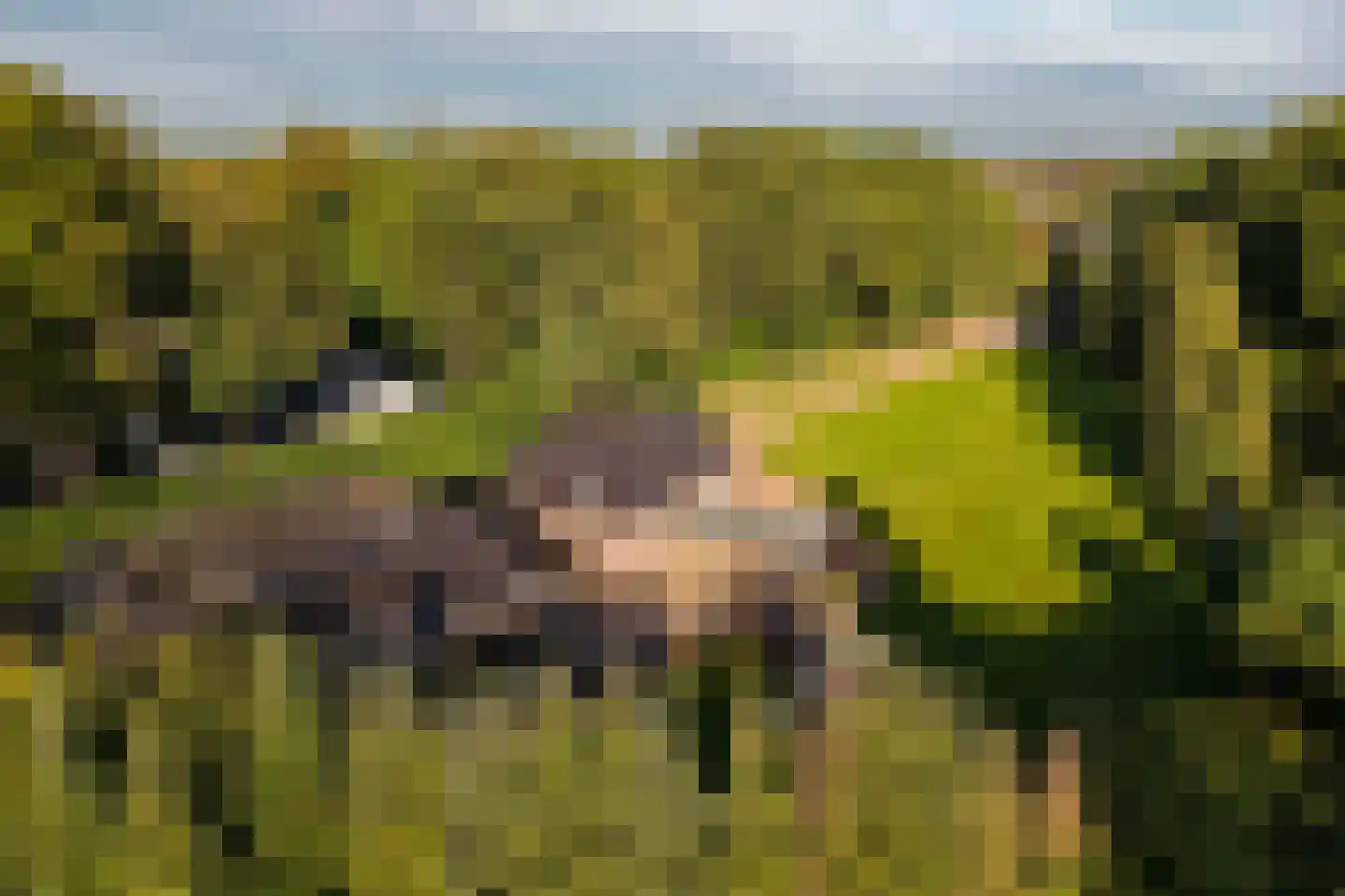 Hogeweg 6 B Eerbeek thumbnail 64