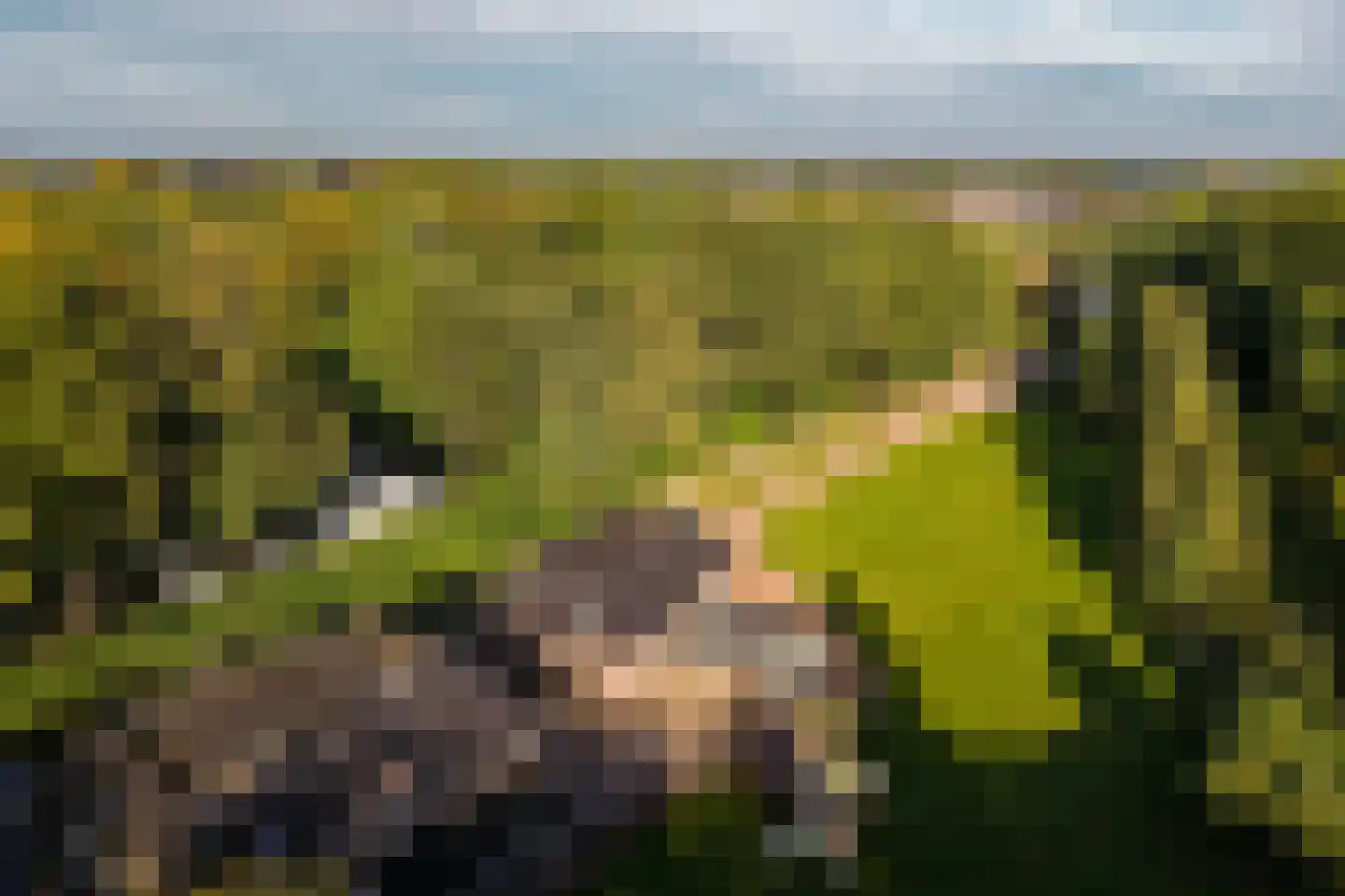 Hogeweg 6 B Eerbeek thumbnail 8