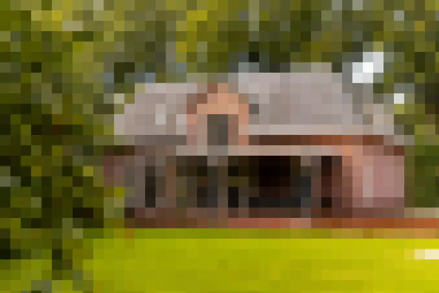 Hogeweg 6 B Eerbeek thumbnail 9