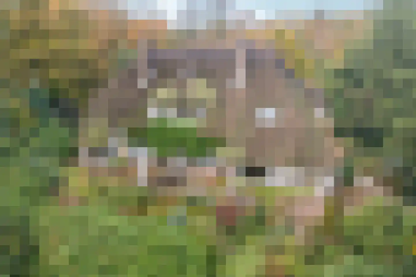 Hogeweg 6 Berg en Dal