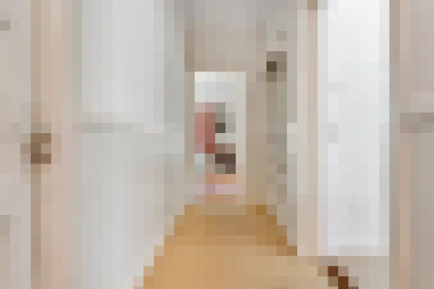 Hogeweg 6 Berg en Dal thumbnail 12