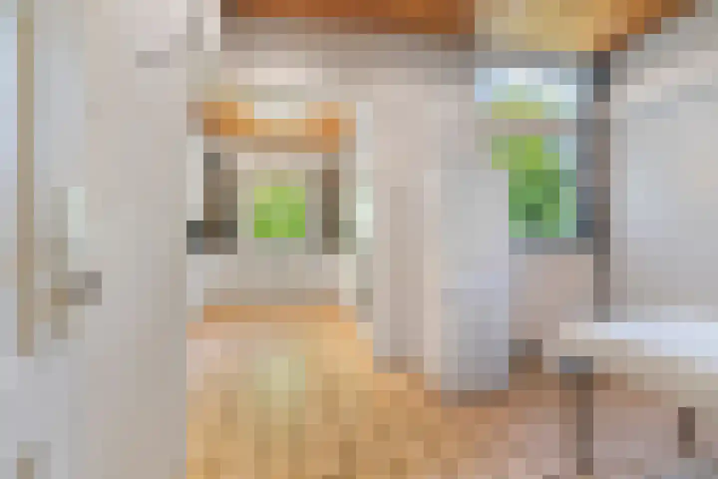 Hogeweg 6 Berg en Dal thumbnail 22