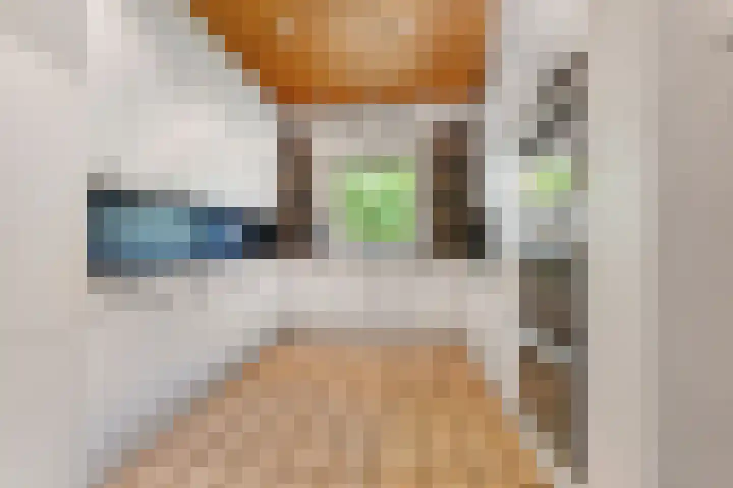 Hogeweg 6 Berg en Dal thumbnail 23