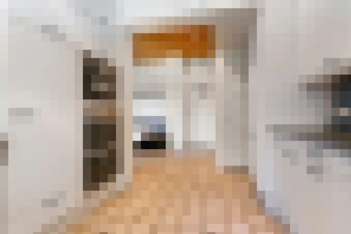 Hogeweg 6 Berg en Dal thumbnail 24