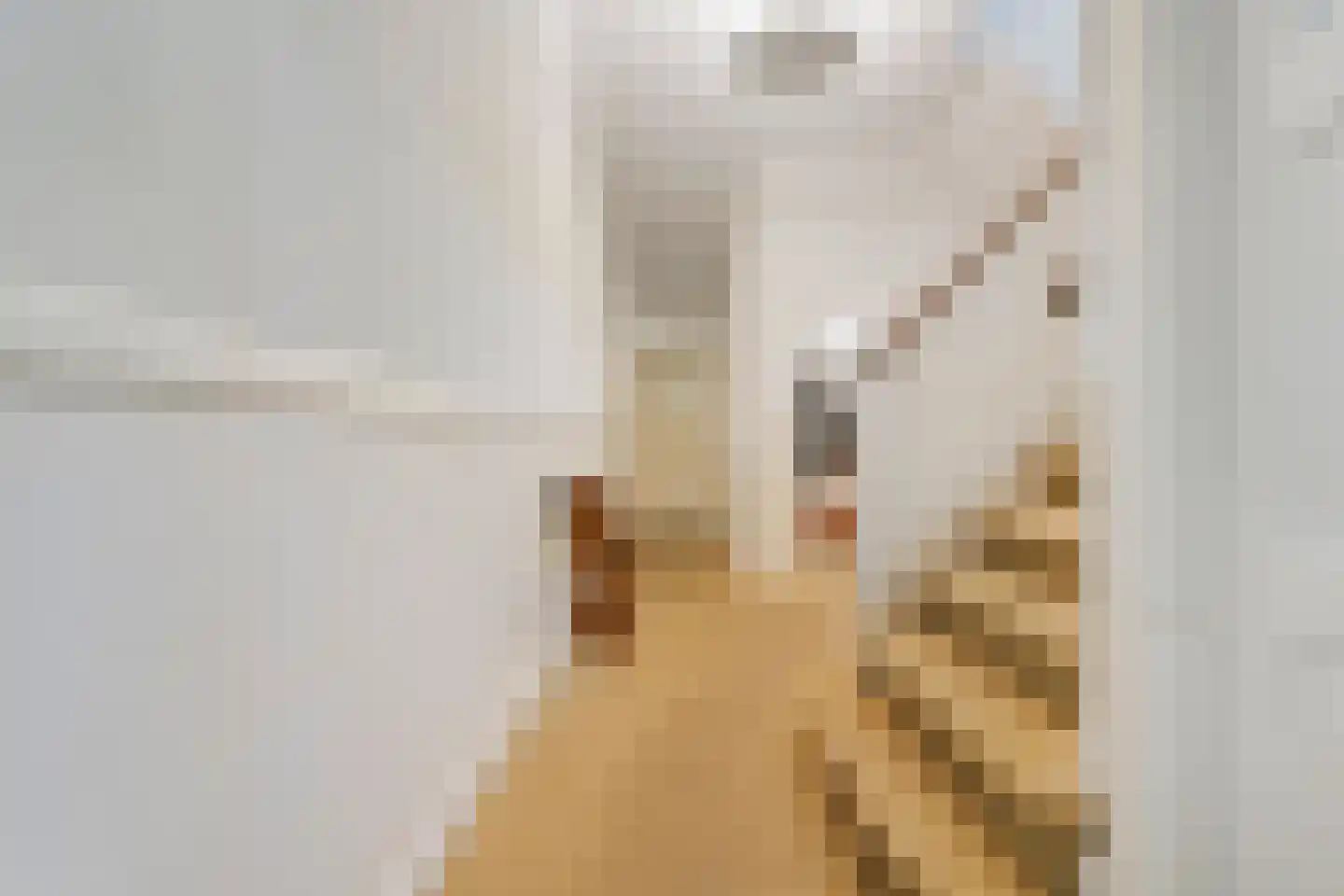 Hogeweg 6 Berg en Dal thumbnail 36