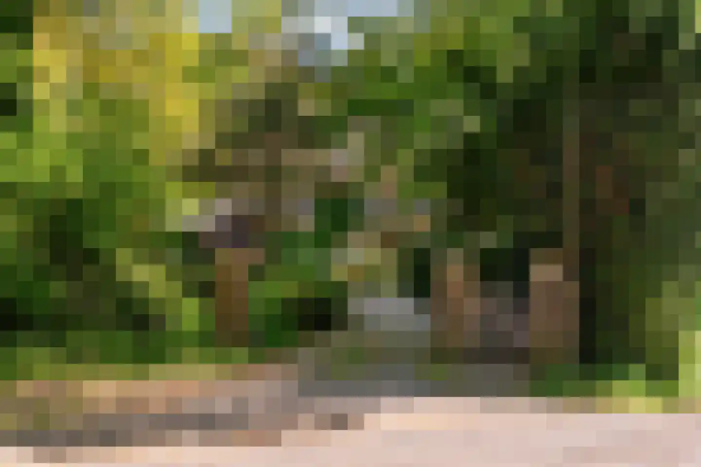 Hogeweg 6 Berg en Dal thumbnail 4