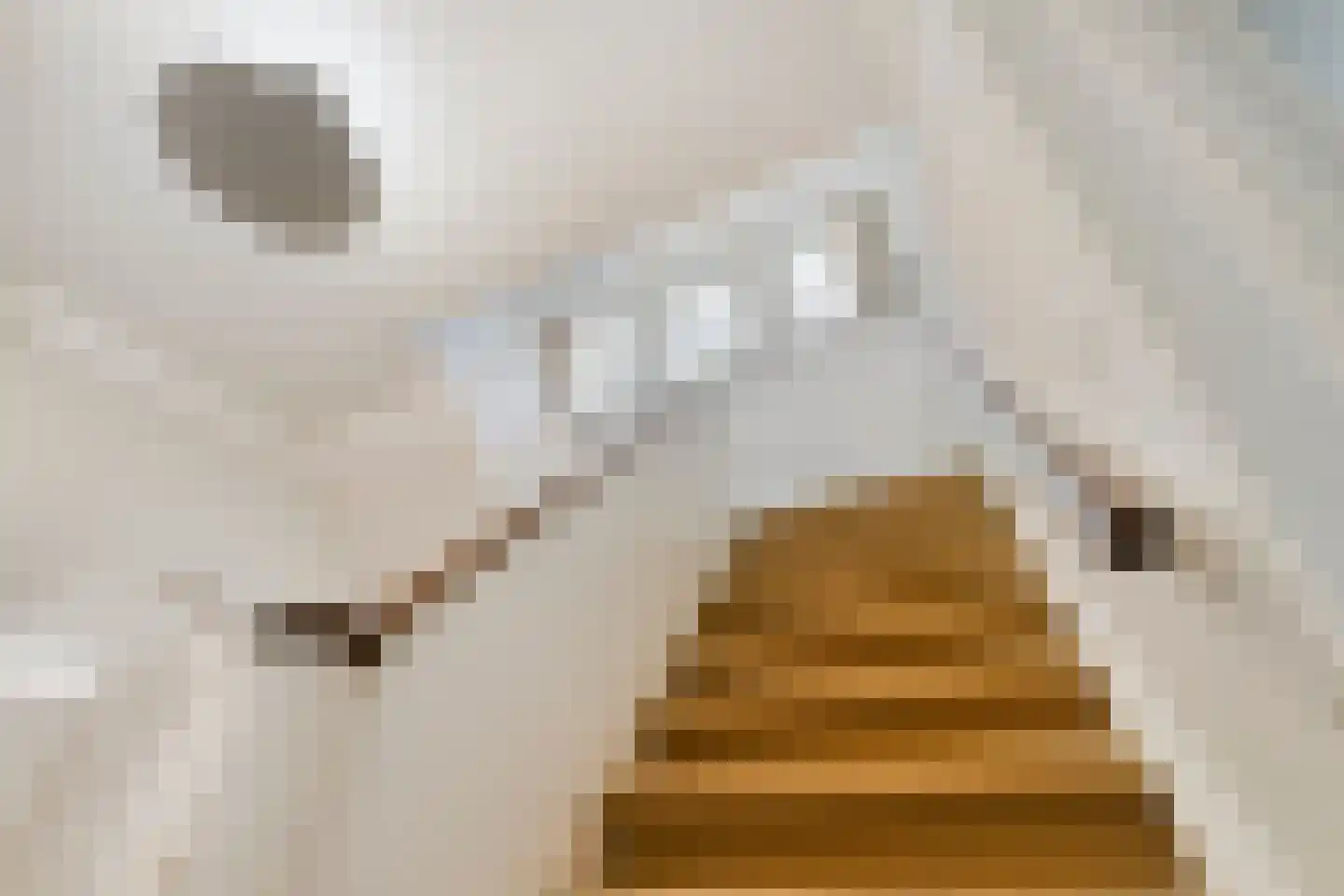 Hogeweg 6 Berg en Dal thumbnail 41