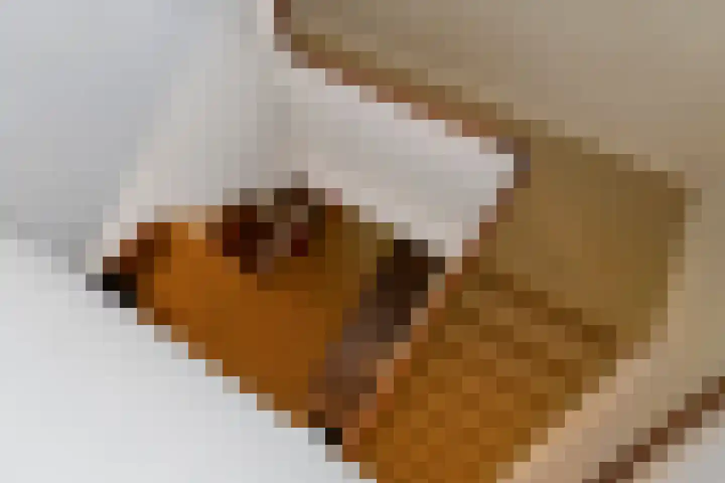 Hogeweg 6 Berg en Dal thumbnail 42