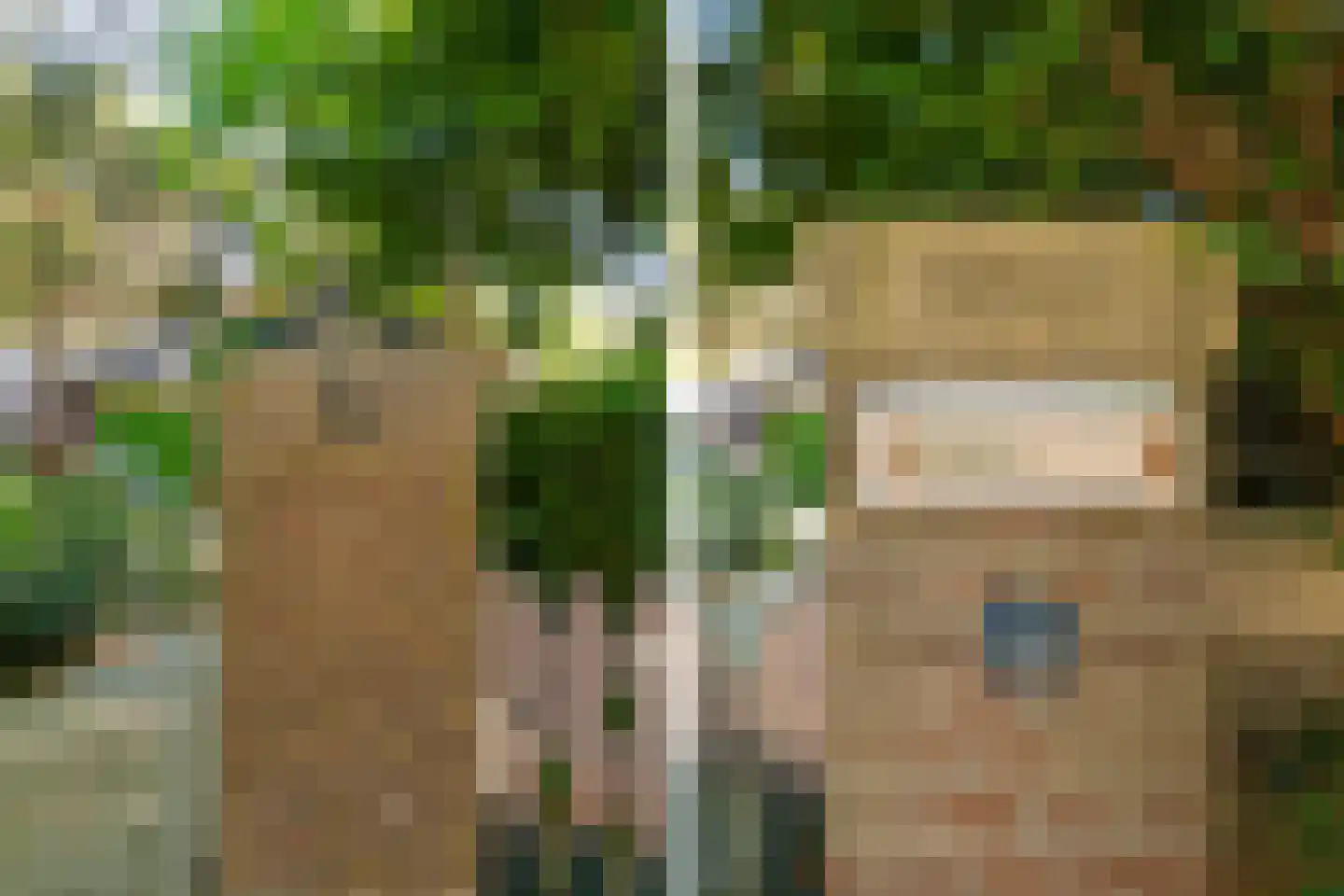 Hogeweg 6 Berg en Dal thumbnail 5