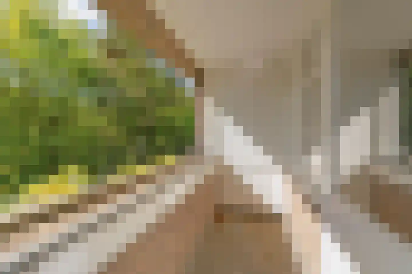 Hogeweg 6 Berg en Dal thumbnail 53