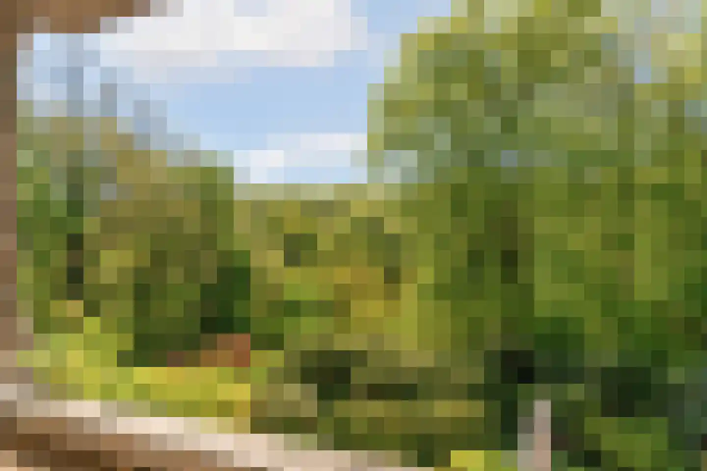 Hogeweg 6 Berg en Dal thumbnail 54