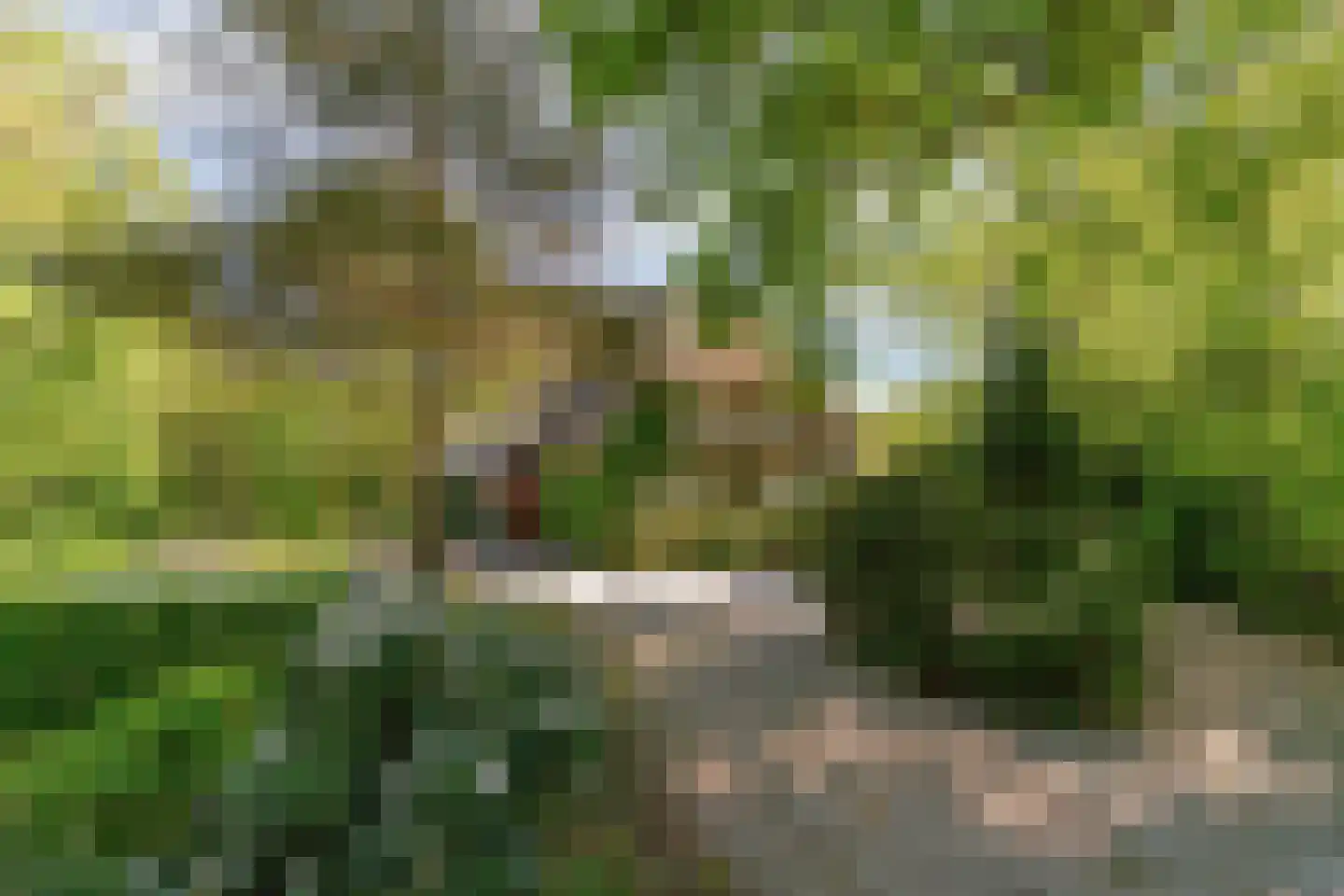 Hogeweg 6 Berg en Dal thumbnail 6