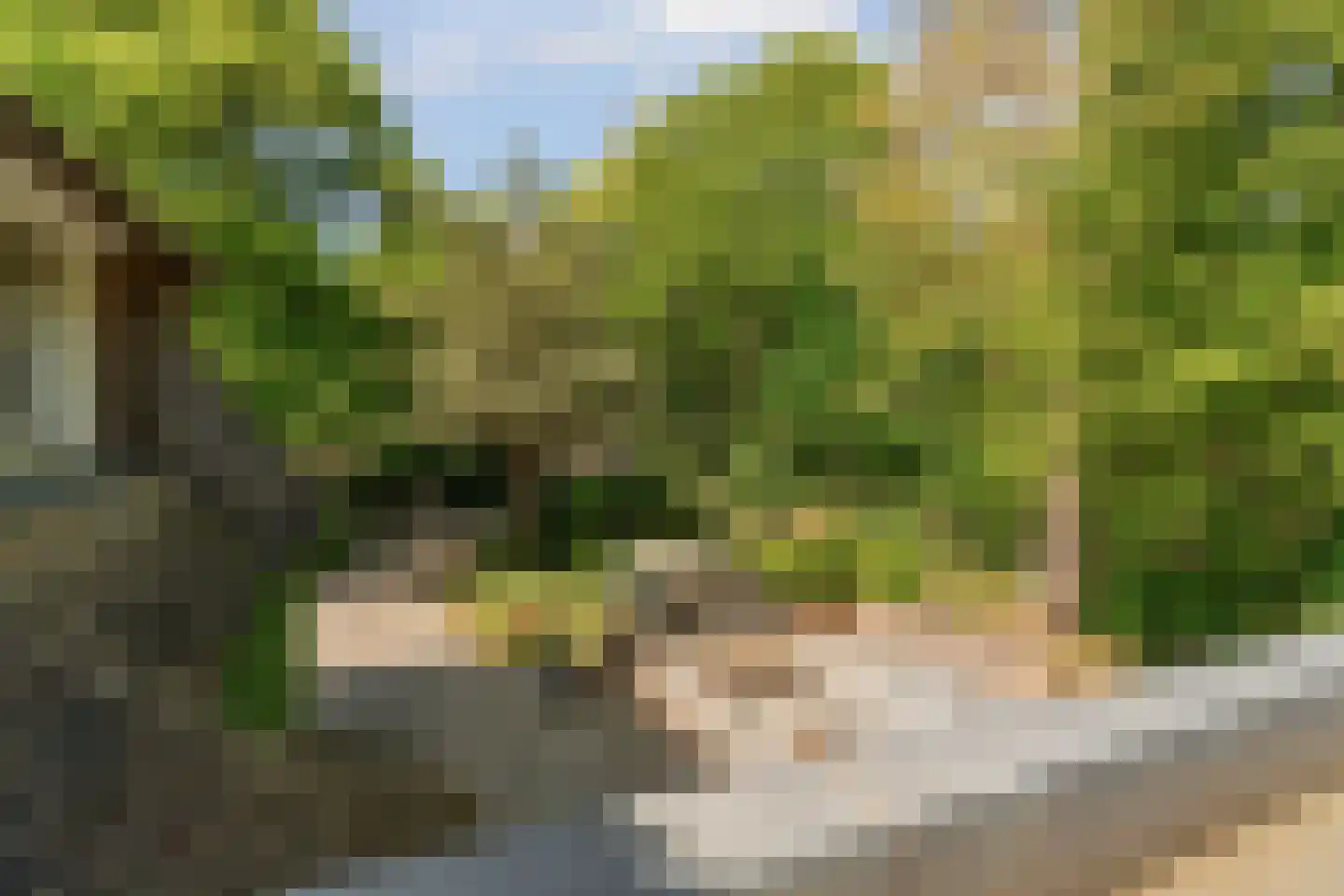 Hogeweg 6 Berg en Dal thumbnail 63