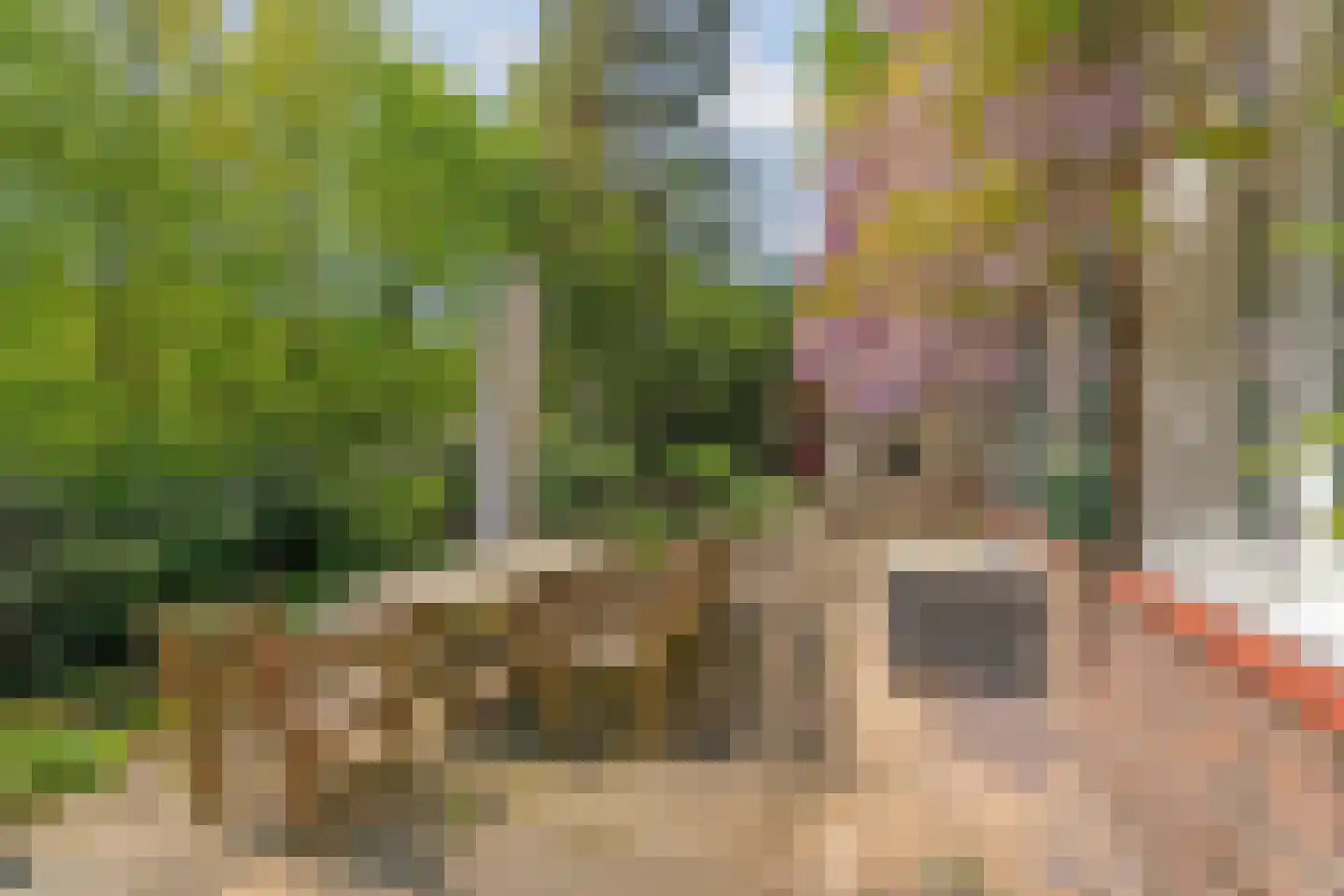 Hogeweg 6 Berg en Dal thumbnail 66