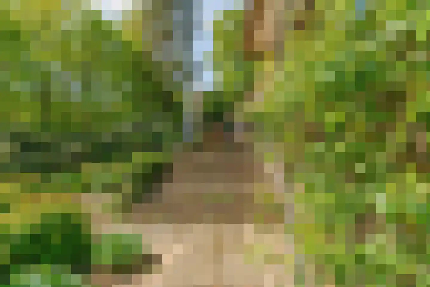 Hogeweg 6 Berg en Dal thumbnail 67