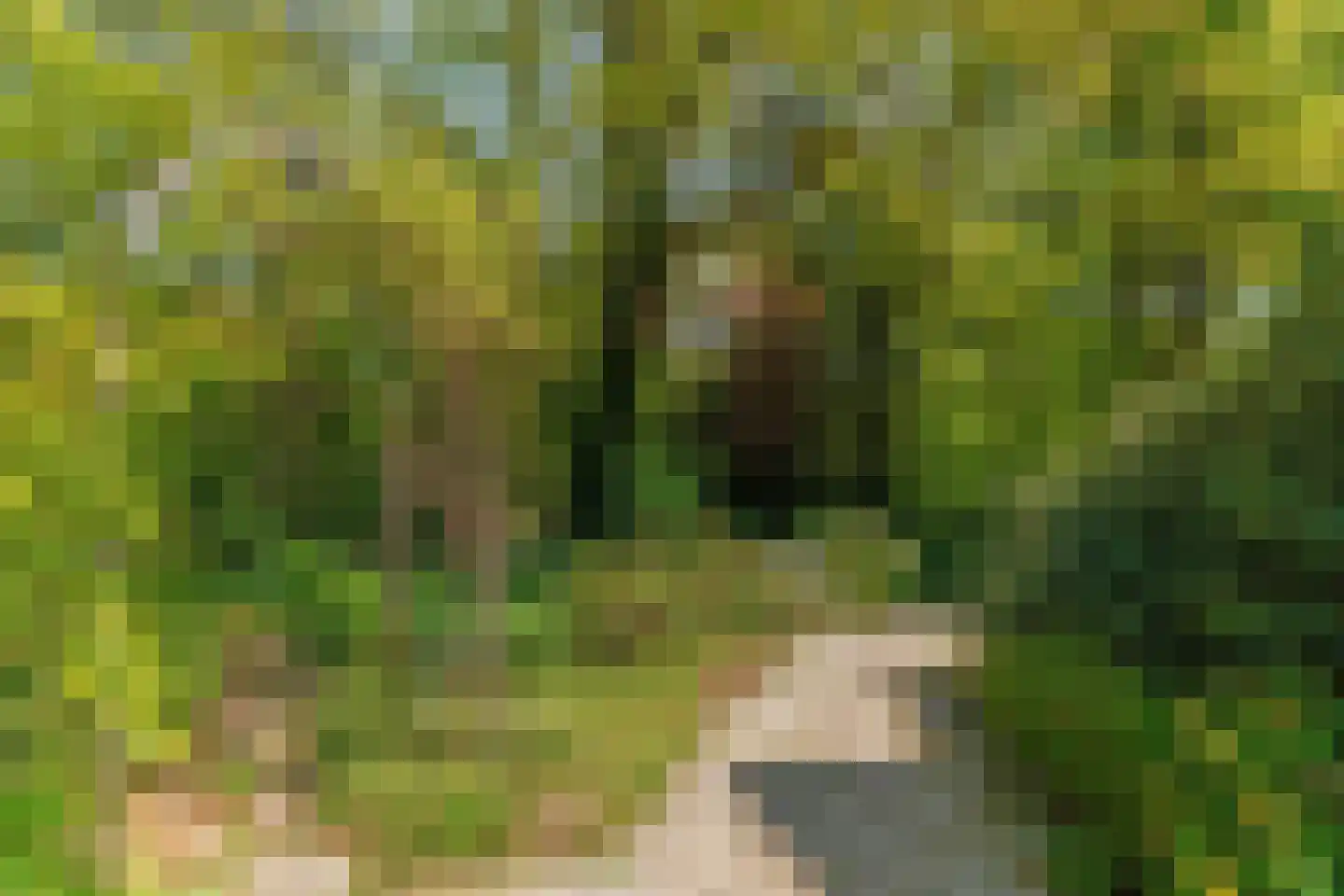 Hogeweg 6 Berg en Dal thumbnail 68