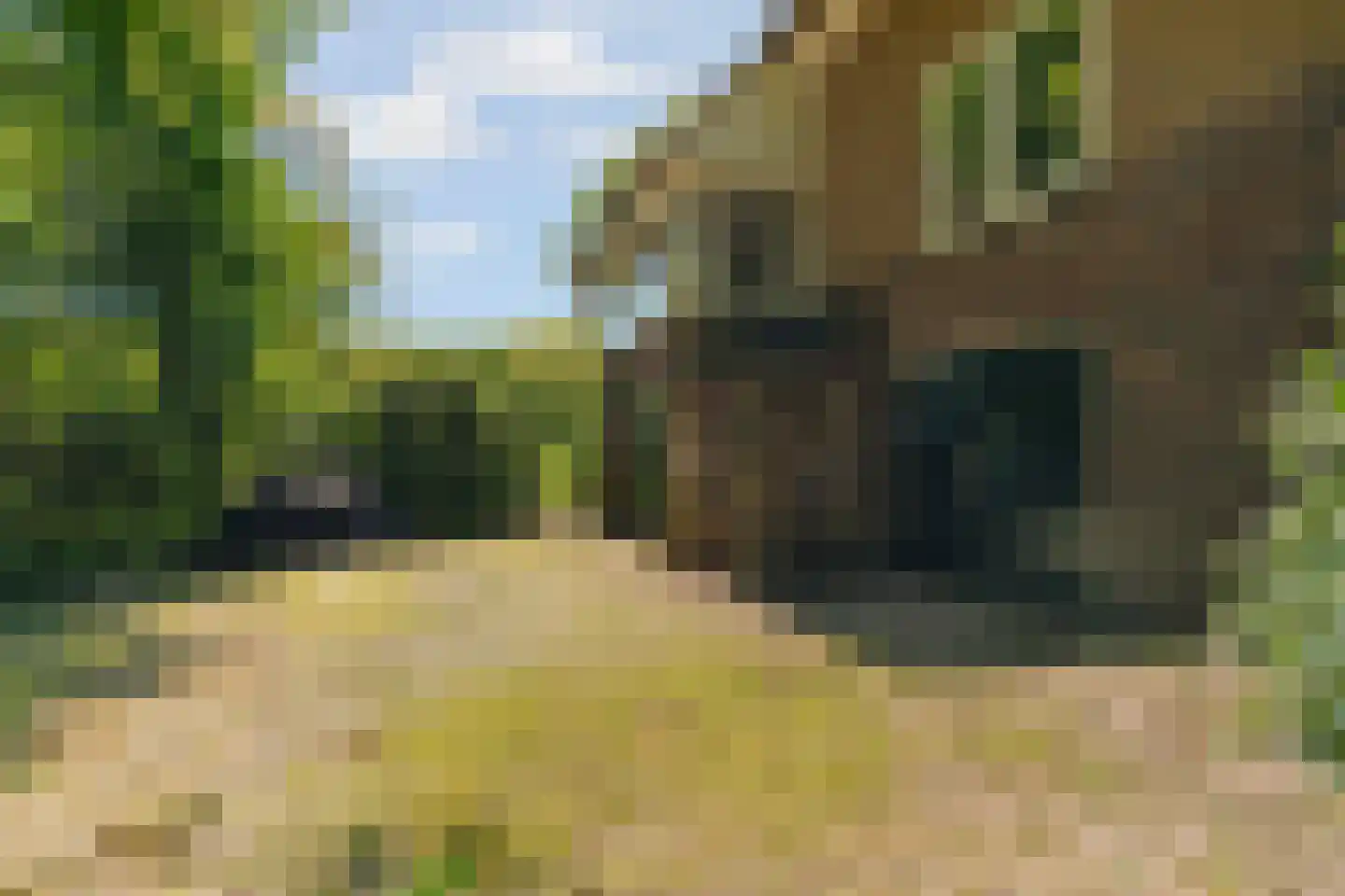 Hogeweg 6 Berg en Dal thumbnail 69